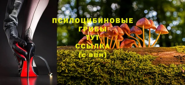 гидропоника Алексин