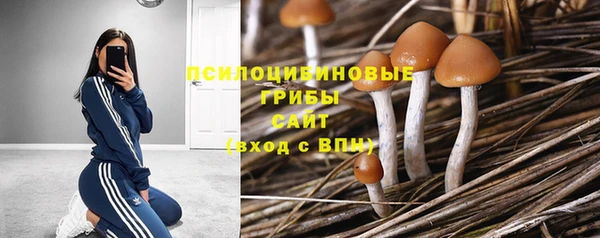 гидропоника Алексин