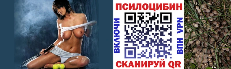 Псилоцибиновые грибы Psilocybine cubensis  Старая Купавна 